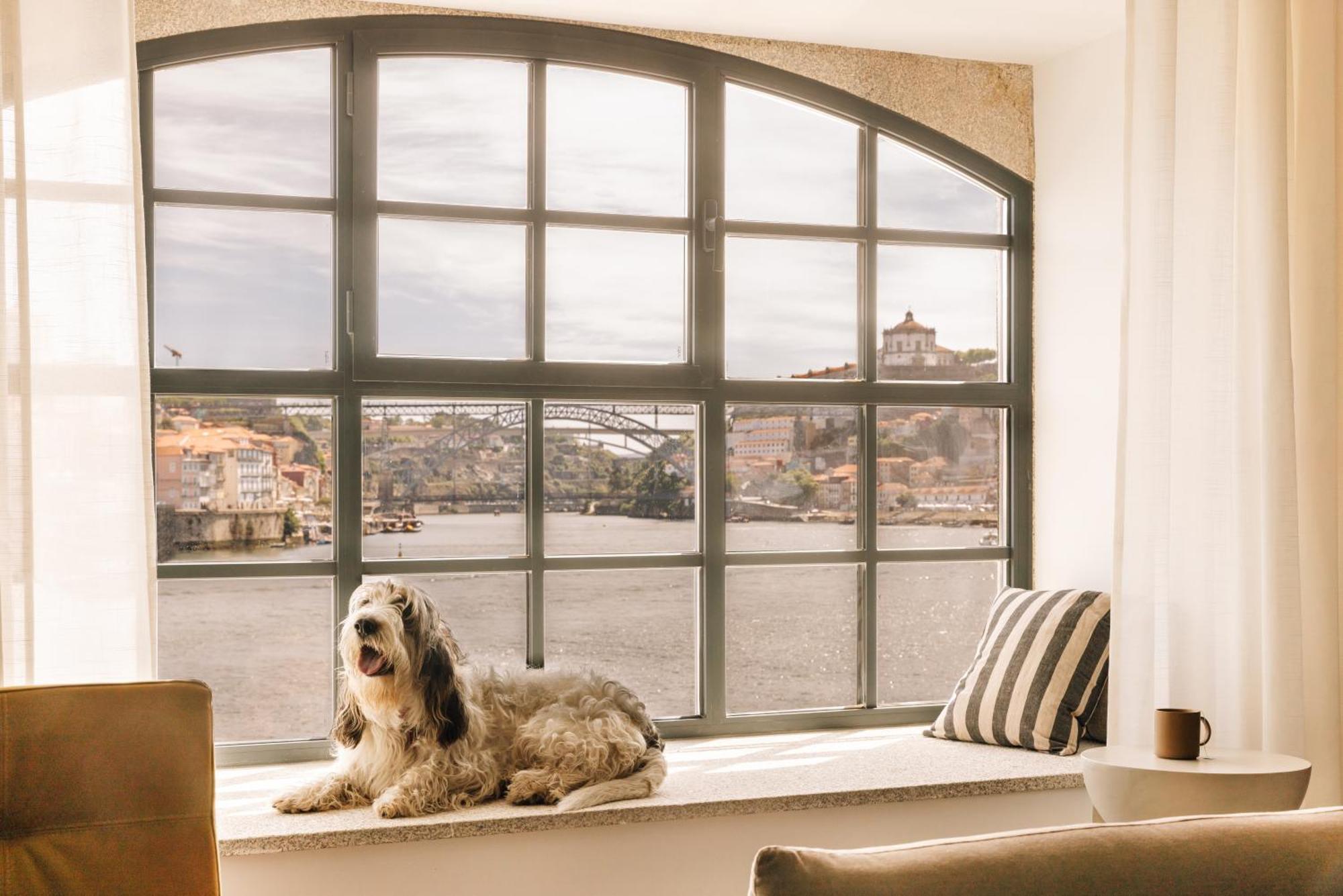 The Rebello Hotel & Spa - Small Luxury Hotels Of The World Вила-Нова-ди-Гая Экстерьер фото A window with a dog